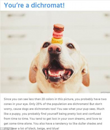 一張圖判別你的識(shí)色能力有多強(qiáng)