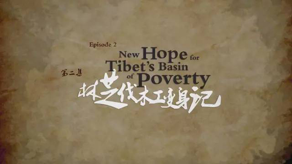 小康之路：他們曾經(jīng)是伐木人，如今卻成了護(hù)林員和藏香廠老板丨解碼中國