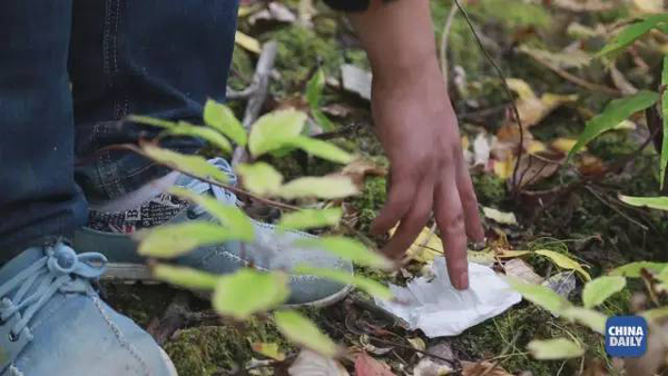 小康之路：他們曾經(jīng)是伐木人，如今卻成了護(hù)林員和藏香廠老板丨解碼中國