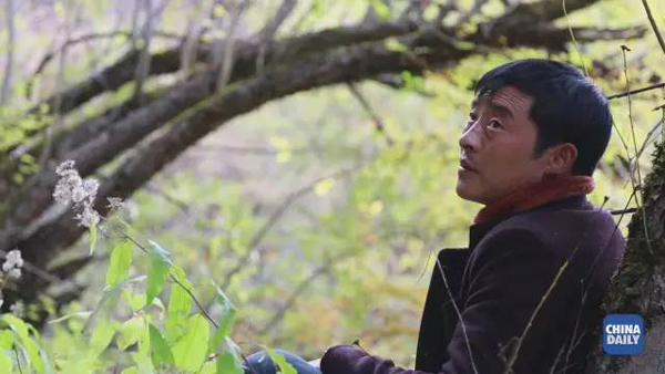 小康之路：他們曾經(jīng)是伐木人，如今卻成了護(hù)林員和藏香廠老板丨解碼中國