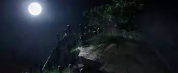 《神奇動物》里都有哪些神奇的動物？