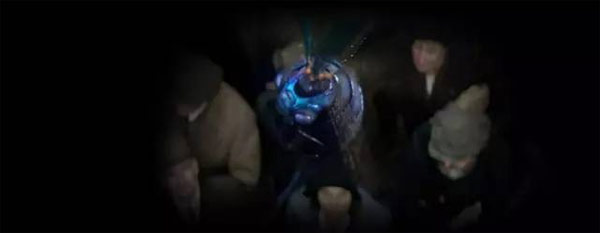 《神奇動物》里都有哪些神奇的動物？