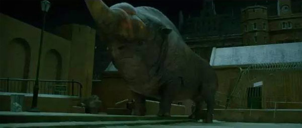 《神奇動物》里都有哪些神奇的動物？