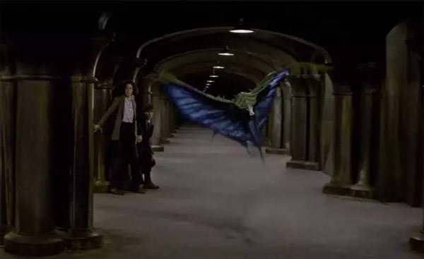 《神奇動物》里都有哪些神奇的動物？