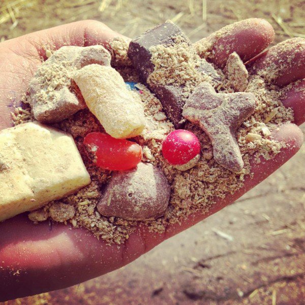 和牛好吃的秘訣:喂牛吃巧克力