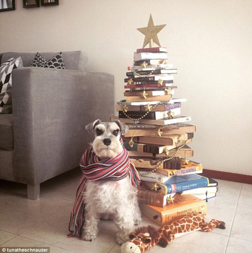 還在擺放傳統(tǒng)的圣誕樹？快來試試圣誕“枕”、圣誕“書”和圣誕“花”！