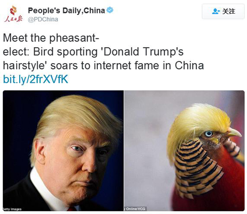 特朗普公雞雕像席卷中國(guó)