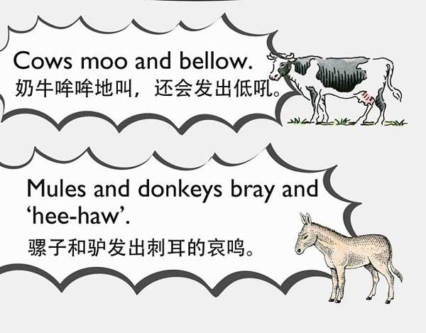 自然界中有各種聲音 如何用英語(yǔ)來(lái)描述動(dòng)物的叫聲？