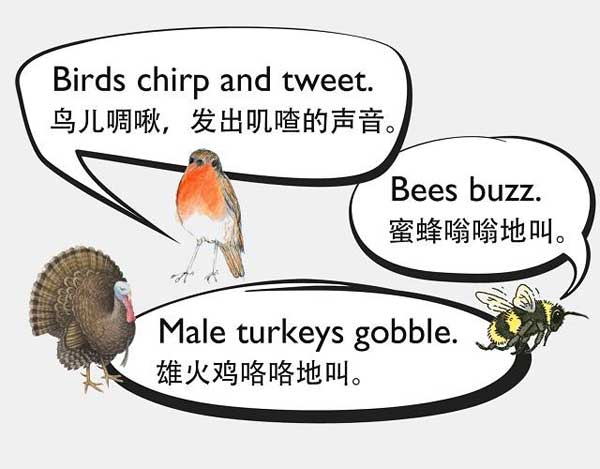 自然界中有各種聲音 如何用英語(yǔ)來(lái)描述動(dòng)物的叫聲？