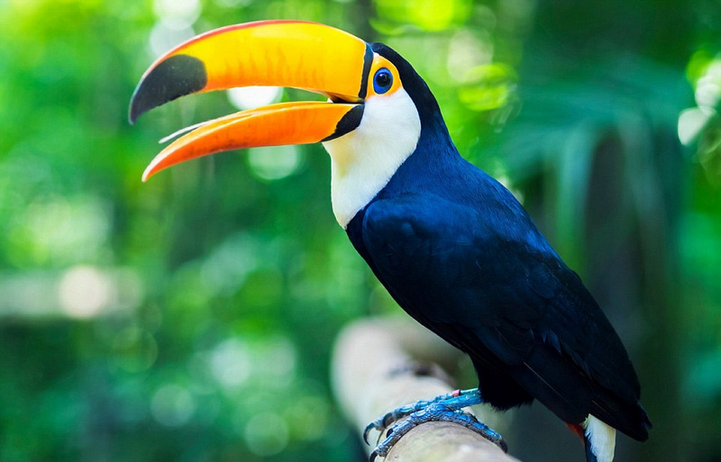 《孤獨(dú)星球》評(píng)選出全球每月最佳旅行地（組圖）