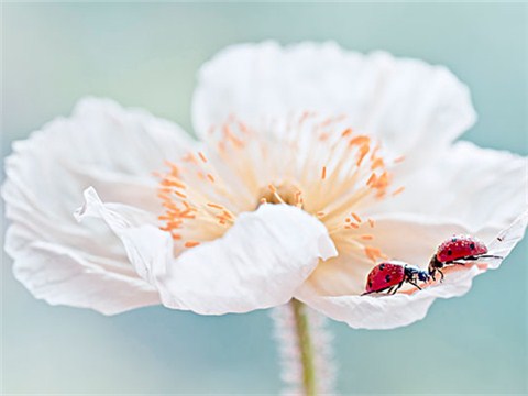 有關(guān)make的習(xí)語和表達(dá)