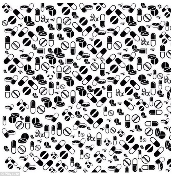 新春游戲：你能在這一群母雞中找出公雞嗎？