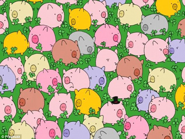 新春游戲：你能在這一群母雞中找出公雞嗎？