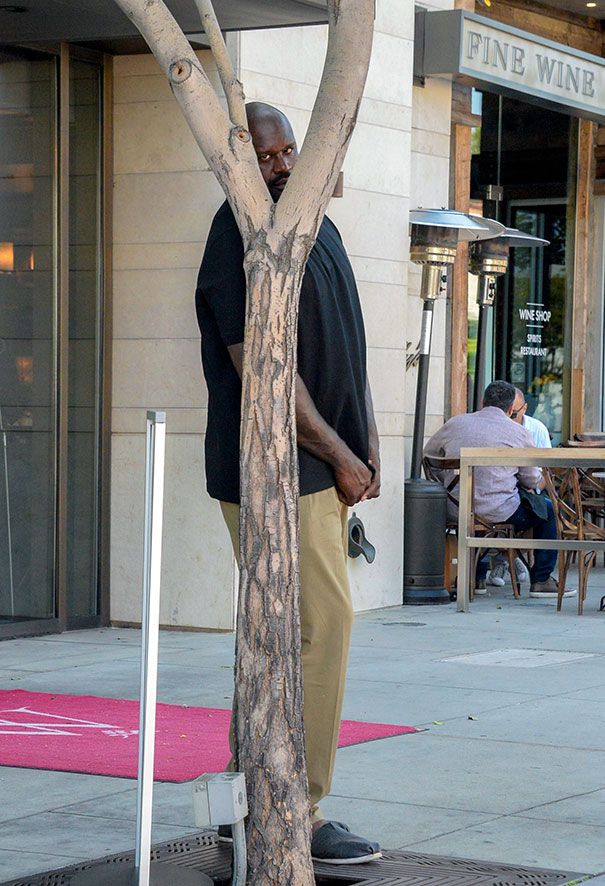 看明星如何巧對死纏爛打的狗仔隊(duì)（組圖）