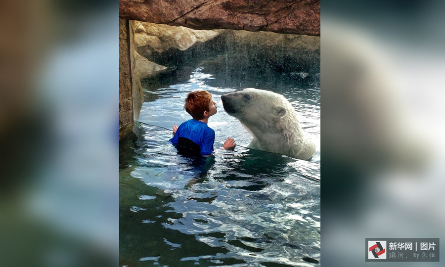 最溫情的抓拍，我的心被治愈了100遍（組圖）