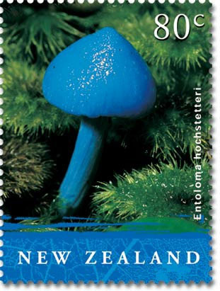 2016年十大網(wǎng)絡(luò)流行語