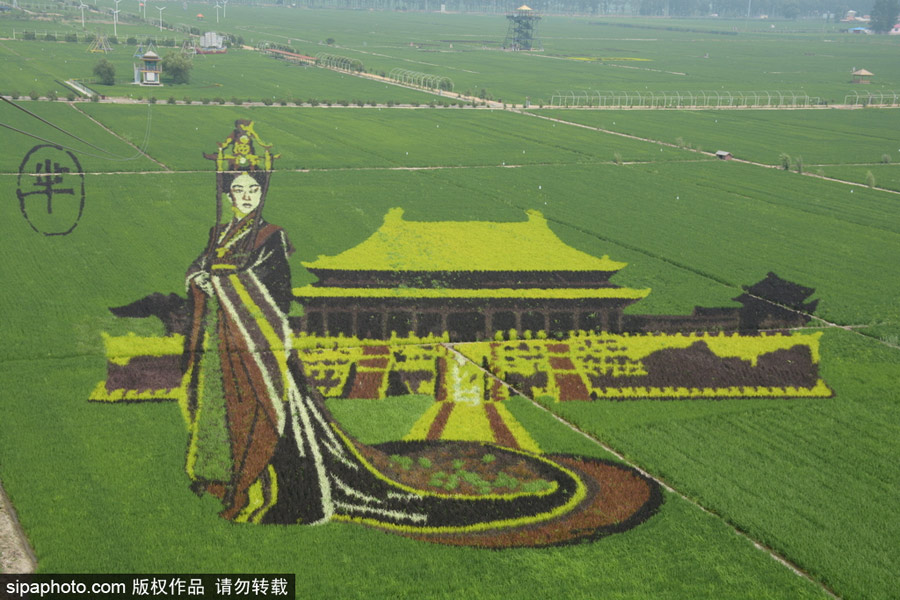 春回大地草木萌動 盤點那些農(nóng)田光景返樸歸真（組圖）