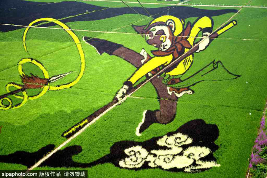 春回大地草木萌動(dòng) 盤點(diǎn)那些農(nóng)田光景返樸歸真（組圖）