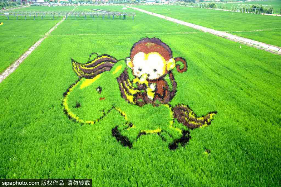 春回大地草木萌動 盤點(diǎn)那些農(nóng)田光景返樸歸真（組圖）