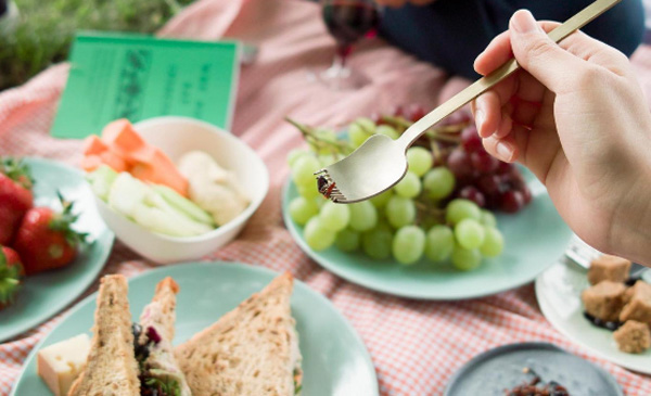 食蟲餐具問世 吃蟲子或有助解決食物短缺難題(組圖)
