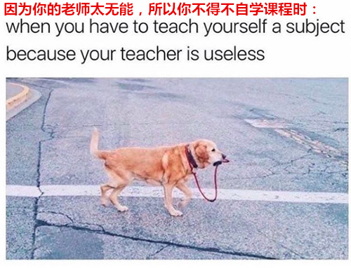 網(wǎng)友神吐槽:大學(xué)生活帶給你什么