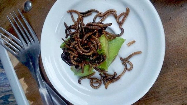 受不了臭豆腐、血腸 老外卻有更奇葩的美食