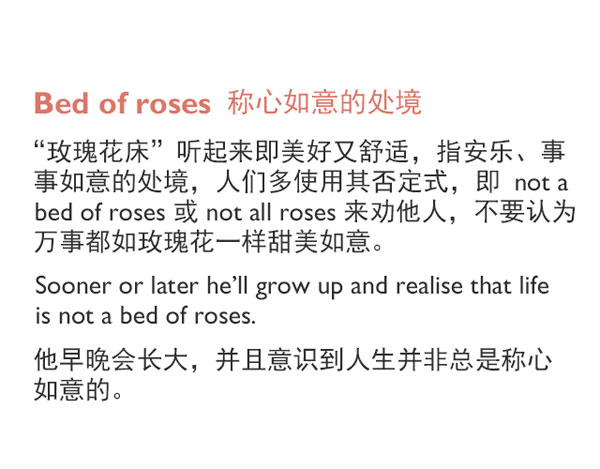 “花語”：和花有關(guān)的英語表達