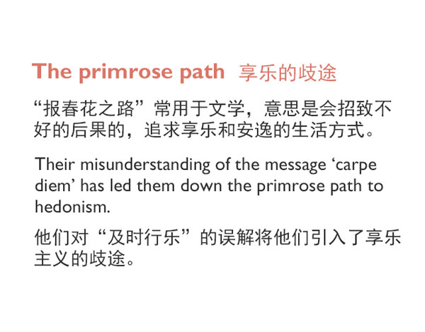 “花語”：和花有關(guān)的英語表達