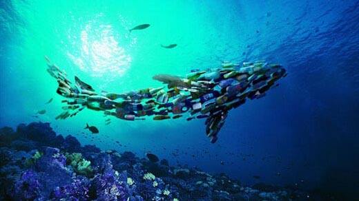 觸目！浮游生物首次被拍到攝入塑料