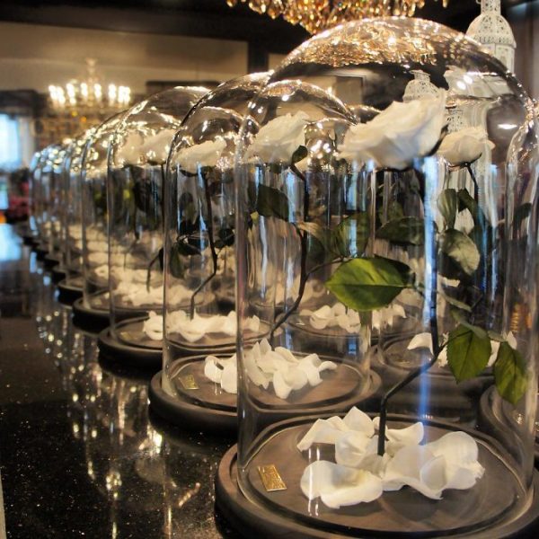 倫敦公司出售永不凋謝的“美女與野獸”玫瑰(組圖)