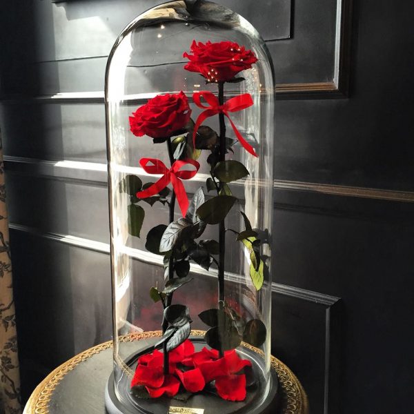 倫敦公司出售永不凋謝的“美女與野獸”玫瑰(組圖)