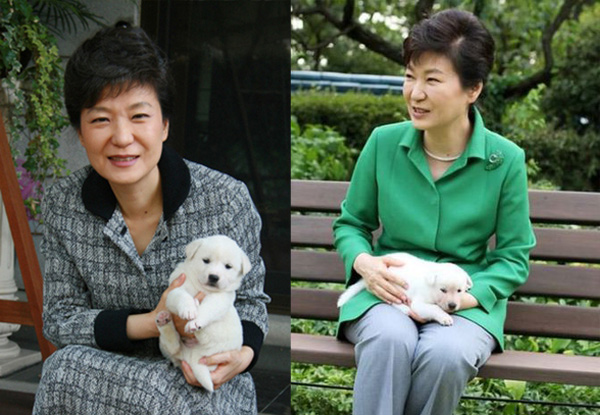 人走狗留 樸槿惠遭動保團(tuán)體指控