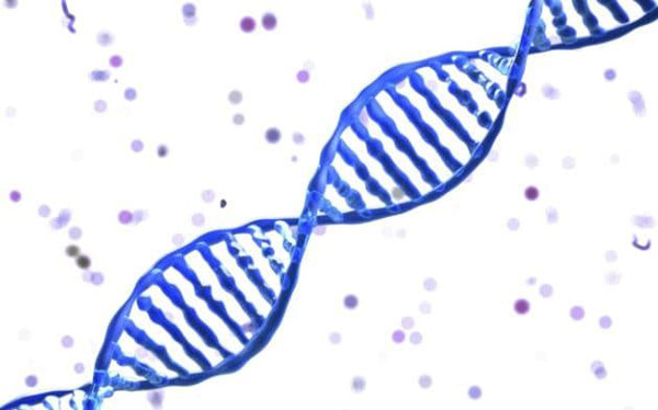 科學(xué)家:得不得癌癥 基本看運氣