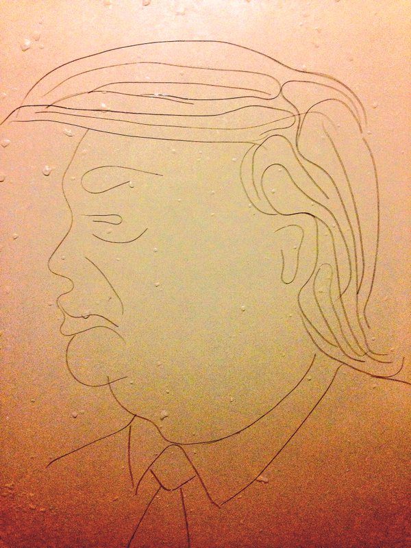 有才！洗澡掉的頭發(fā)拼出肖像畫（組圖）