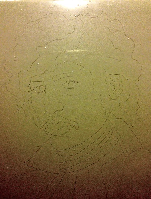 有才！洗澡掉的頭發(fā)拼出肖像畫(huà)（組圖）