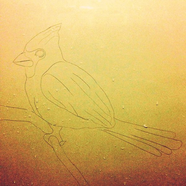 有才！洗澡掉的頭發(fā)拼出肖像畫（組圖）