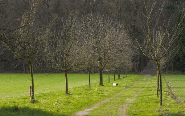 更想走“期望路線”？