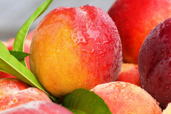 這些水果的“內(nèi)涵”，你都知道嗎？（一）