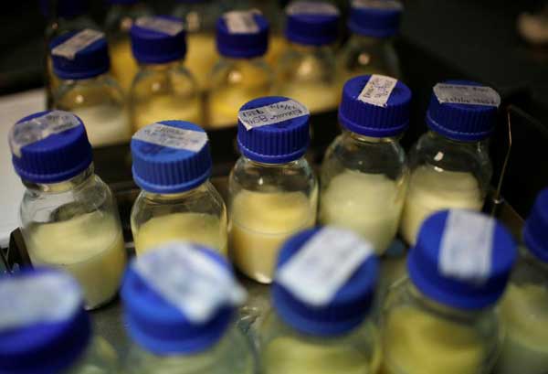 研究：母乳能殺死癌細胞