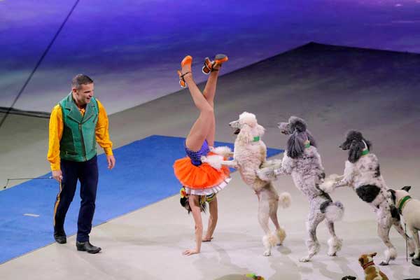 與動物有關(guān)的8條習語