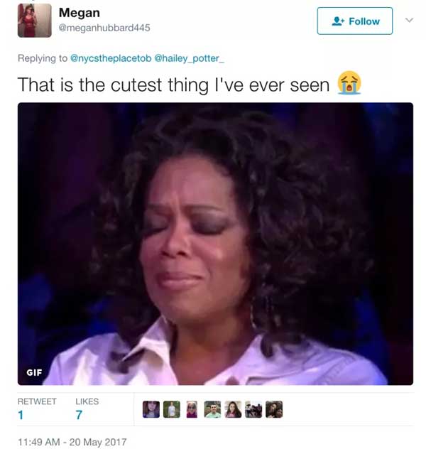 暖暖的！狗狗亮相高中畢業(yè)紀念冊