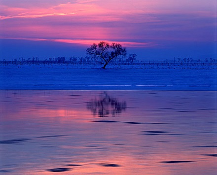 想和老外網聊？這些“行話”必須懂！