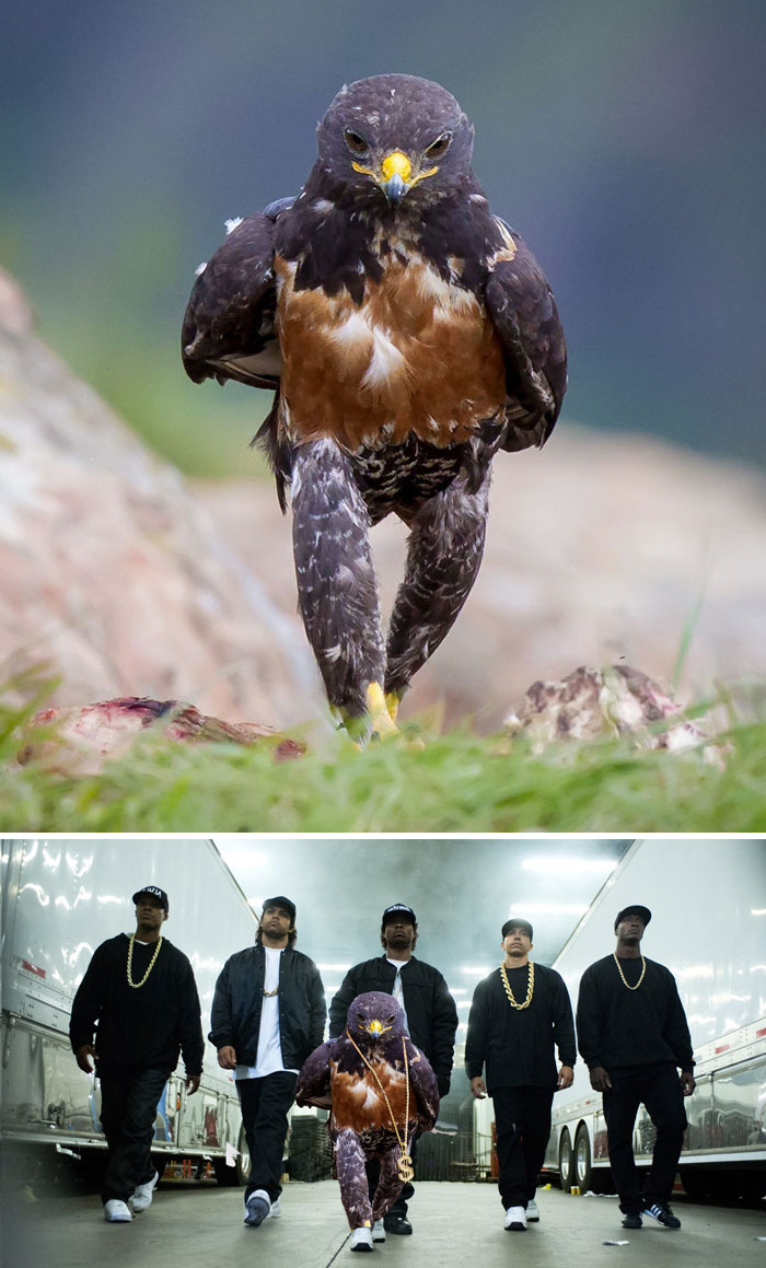 網(wǎng)絡(luò)PS大戰(zhàn)：誰是贏家？（組圖）