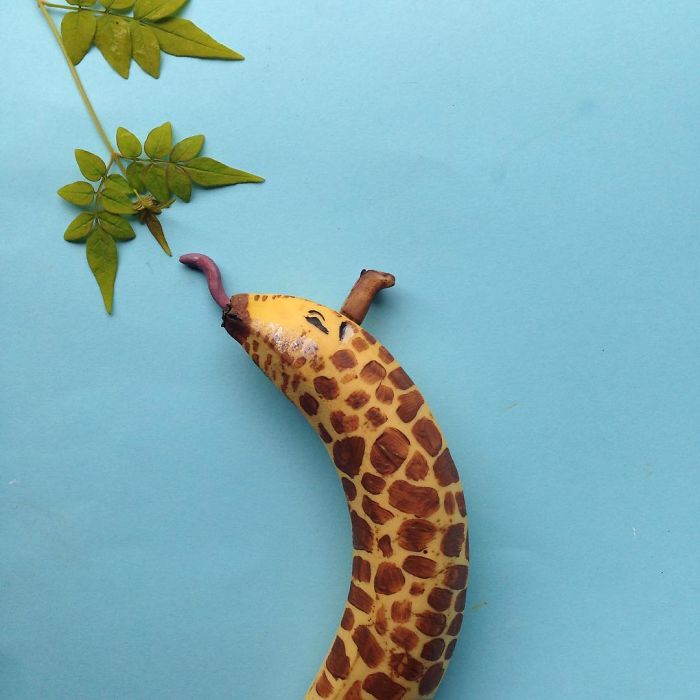 廚房里的“動(dòng)物園”：別出心裁的蔬果藝術(shù)品（組圖）