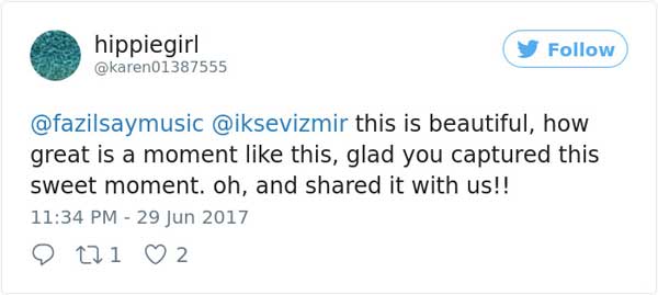 土耳其音樂會 流浪狗意外成網(wǎng)紅