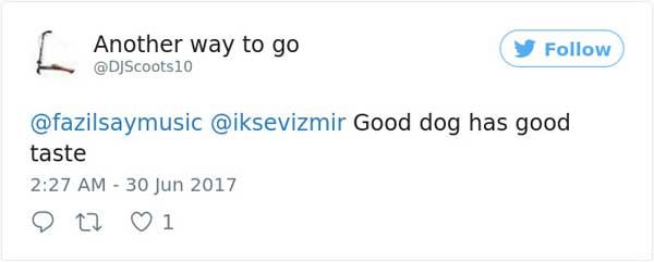 土耳其音樂會 流浪狗意外成網(wǎng)紅