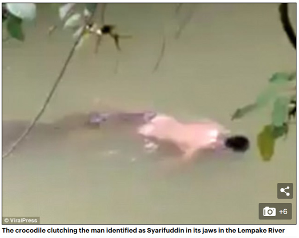 驚人一幕:巫師施法使鱷魚奉還尸體(視頻)