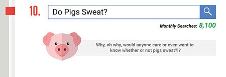 百度發(fā)布奇葩問題搜索報告 這些問題真讓人無語