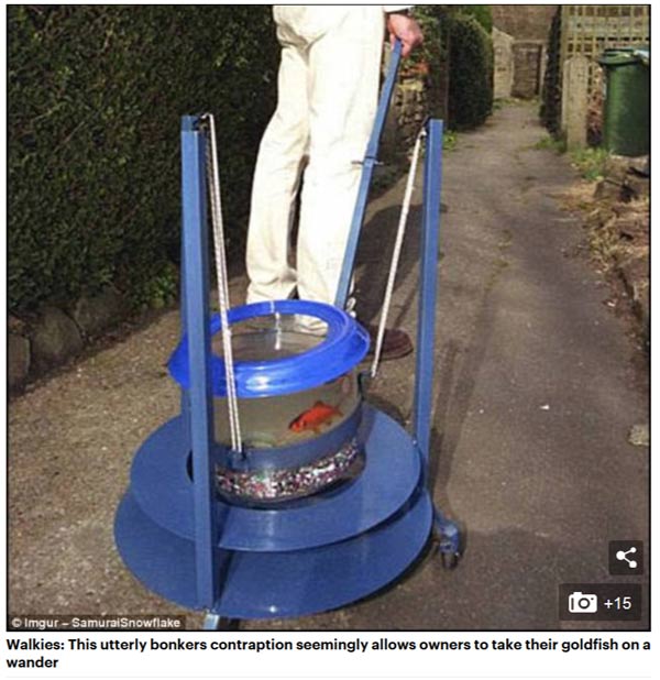 從走路吹風(fēng)機(jī)到黃油擦絲器:最怪誕的日本發(fā)明