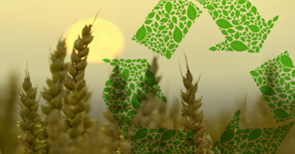 超七成中國消費(fèi)者具有“可持續(xù)消費(fèi)”意識(shí)